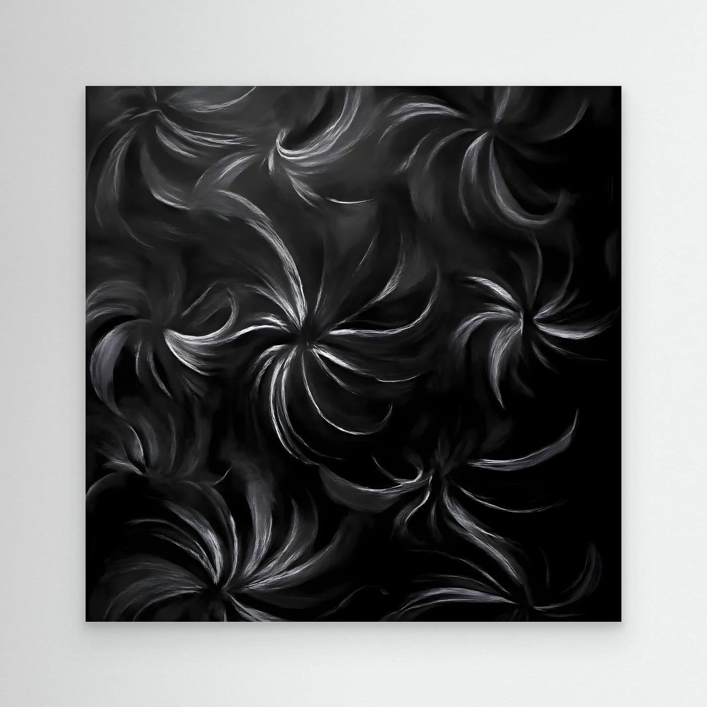 Midnight Beauty - Australian Native Wild Black Orchid