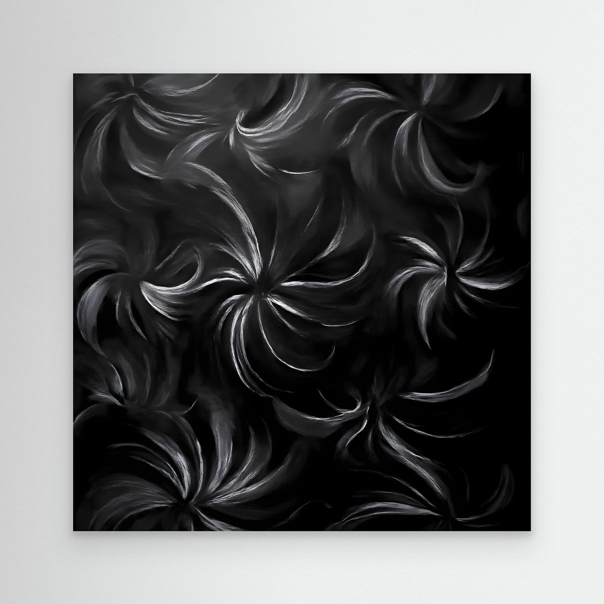 Midnight Beauty - Australian Native Wild Black Orchid