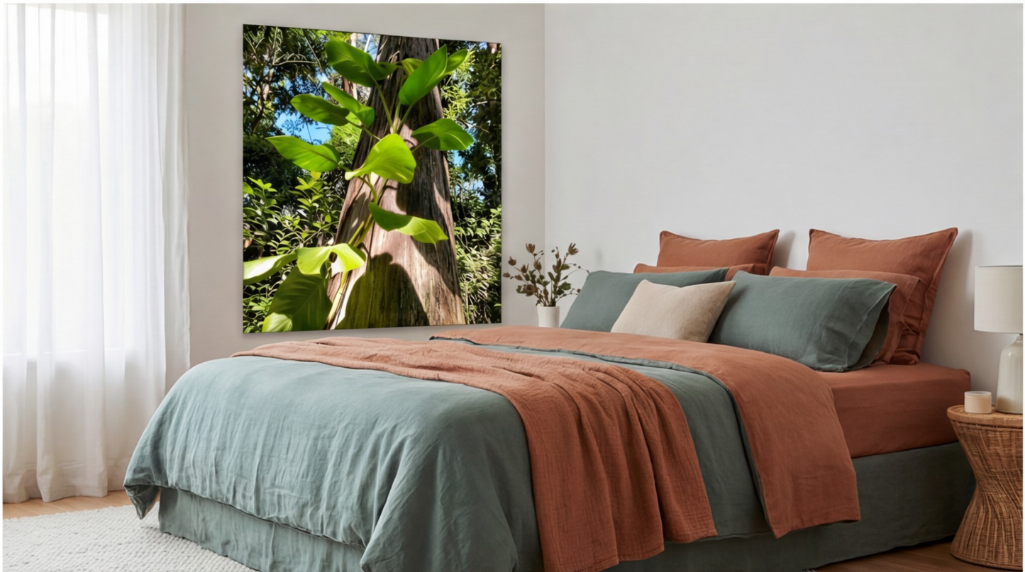 Reaching for the Sun