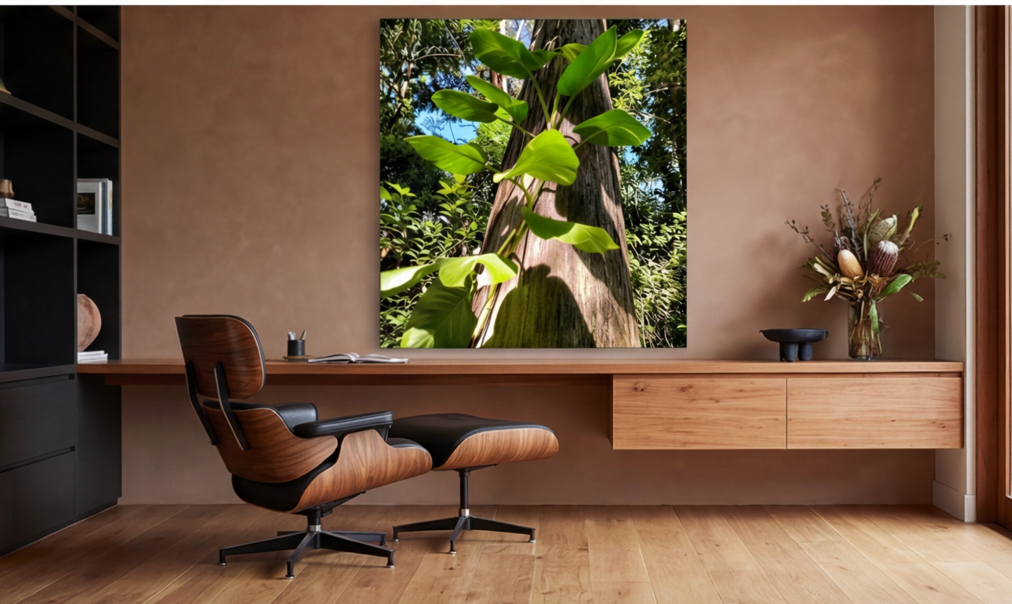 Reaching for the Sun