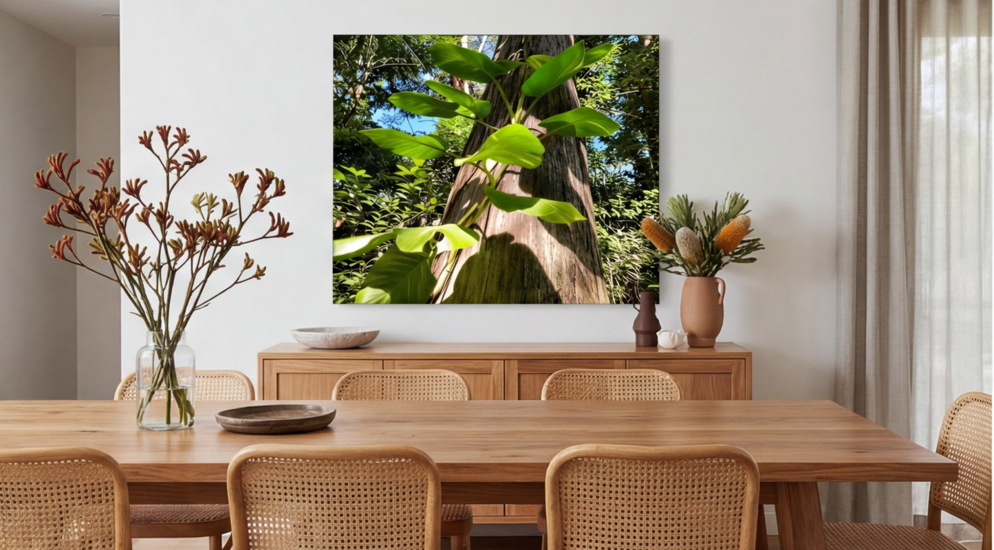 Reaching for the Sun