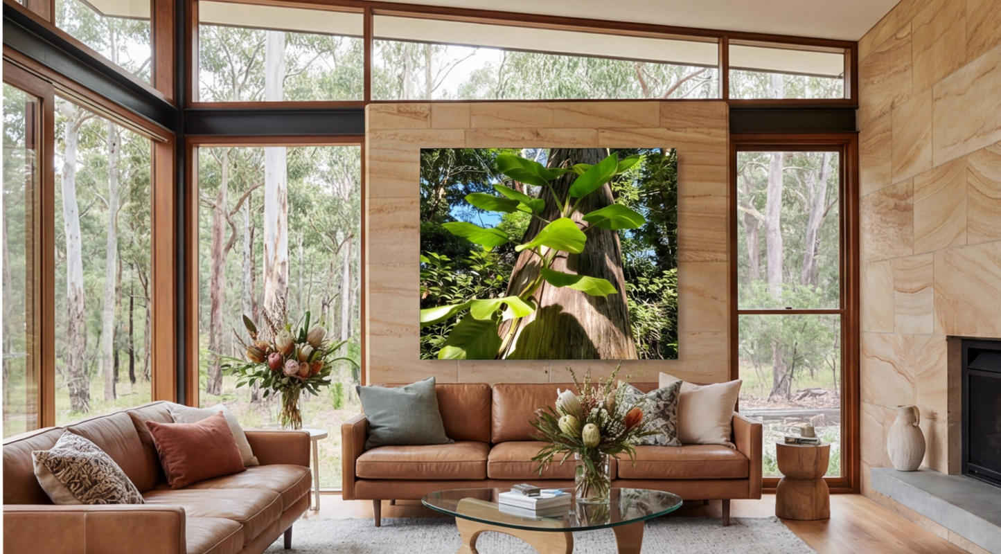 Reaching for the Sun