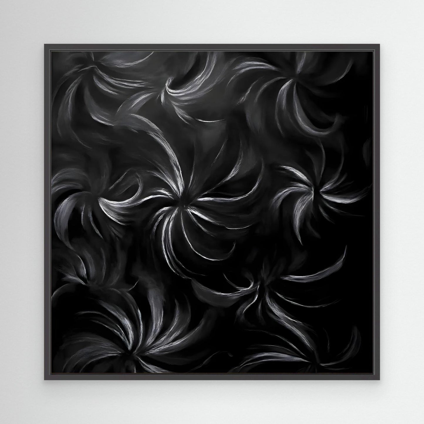 Midnight Beauty - Australian Native Wild Black Orchid